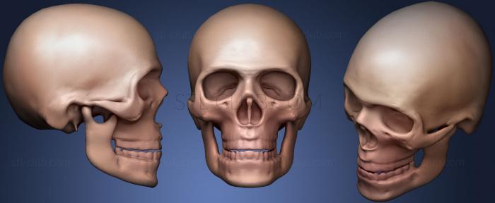 3D модель Металлический череп 43 (STL)